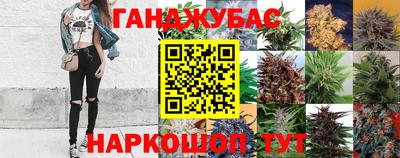 гидропоника Моздок