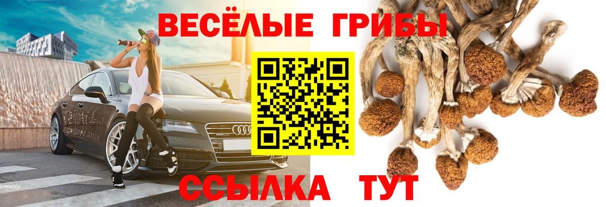 где купить наркотик  Вход с VPN  Ялта  Галлюциногенные грибы Psilocybine cubensis 